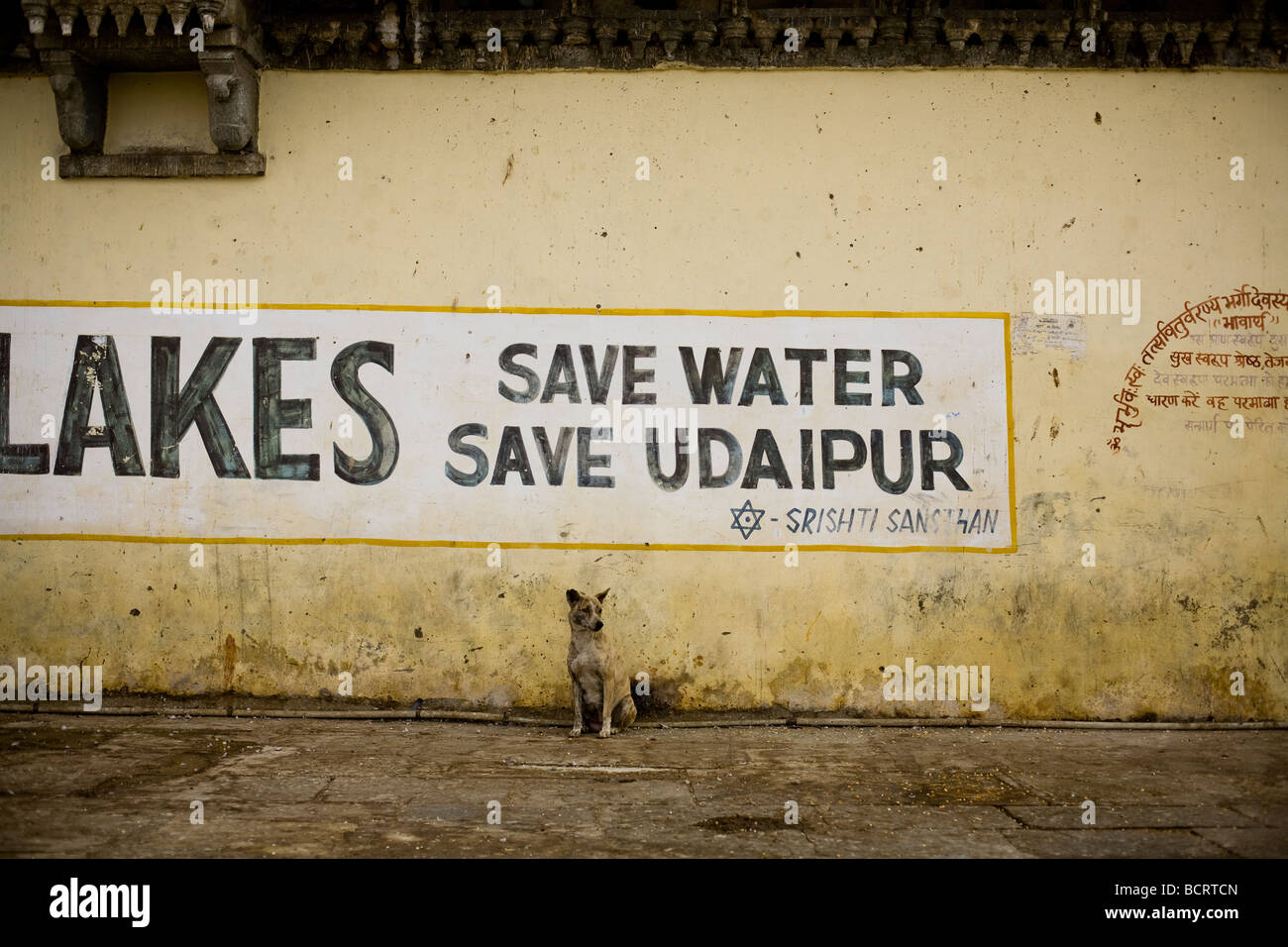 Ein einsamer Obdachloser Hund sitzt durch ein Schild Schriftsatz Bewohner sparen Wasser sparen Udaipur. Stockfoto