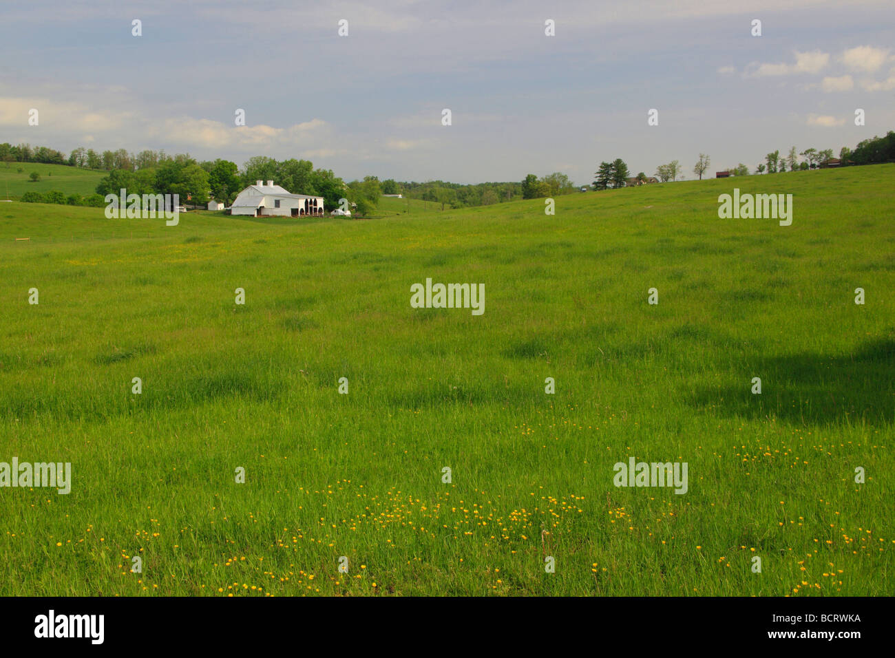Scheune am Arborhill Shenandoah Valley Virginia Stockfoto