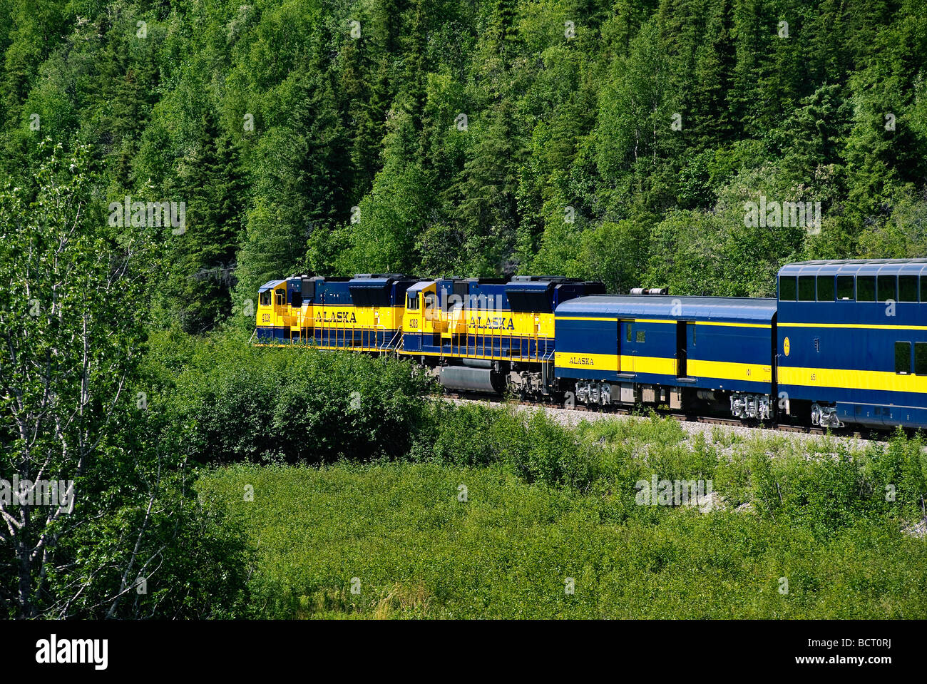 Touristischer Zug wickeln es s Weg durch die unberührte Landschaft Alaska Alaska USA Stockfoto