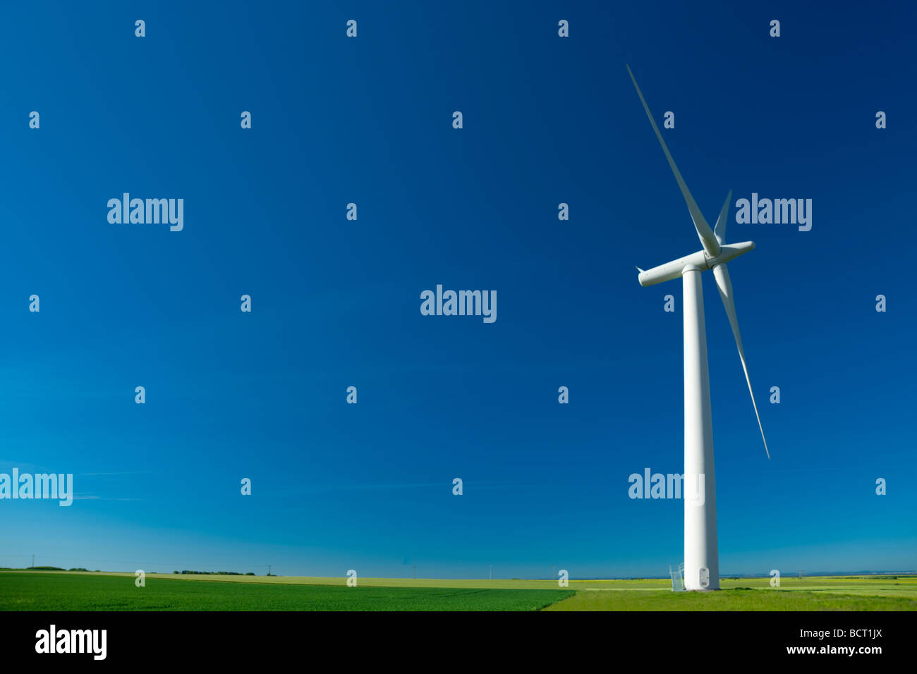 Aus Newton Windpark Stockfoto