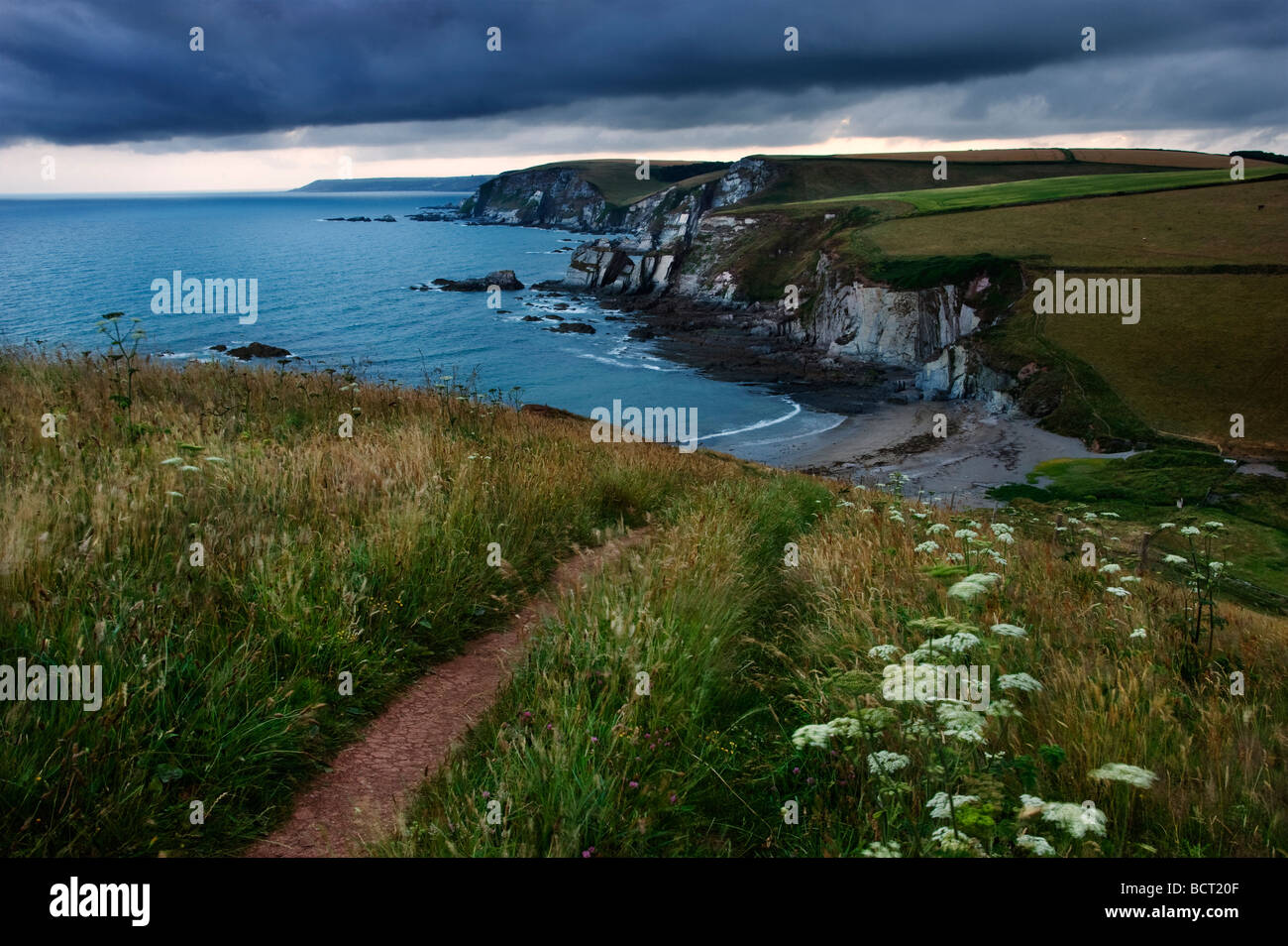 Blick von Nordosten von der Küstenweg über Ayrmer Cove South Devon England UK Stockfoto