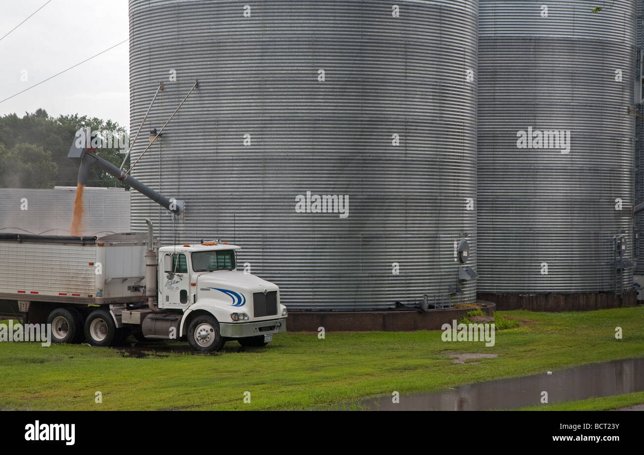 Conesville Iowa A Fahrer beobachtet, wie seine LKW mit Mais aus ein Lagersilo geladen wird Stockfoto