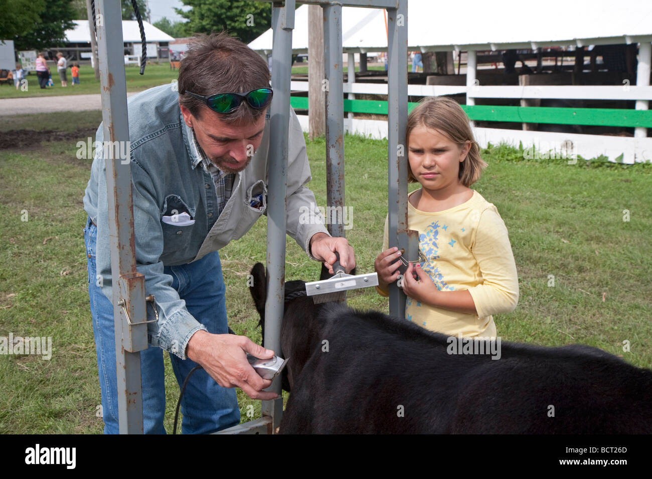 Marengo Iowa ein Mädchen schaut zu, wie ihr Vater ihr Kalb für den Wettbewerb im Iowa County Fair pflegt Stockfoto