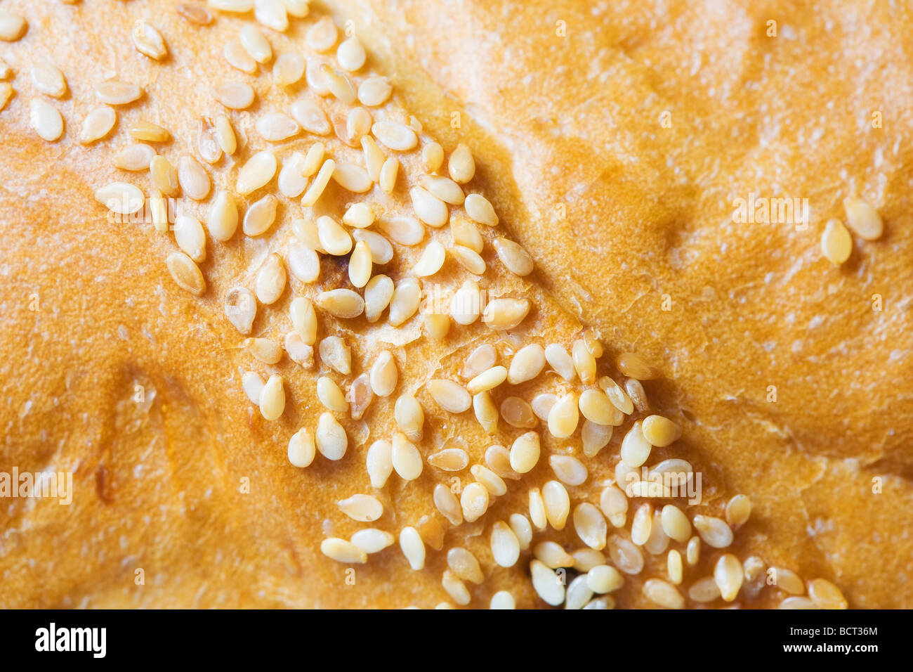 Brot mit Samen Makrofoto Stockfoto