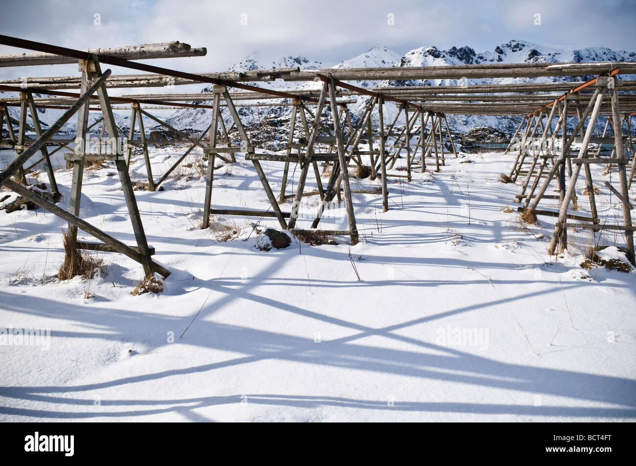 Leeren Kabeljau Stockfisch Trocknung Racks im Winter, Steine, Leknes, Lofoten Inseln, Norwegen Stockfoto
