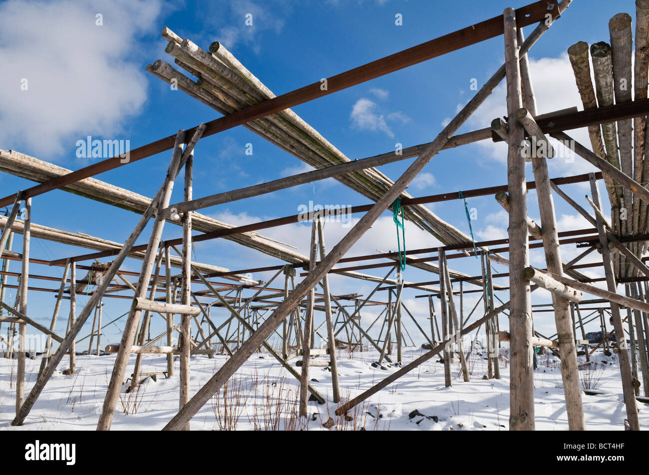 Leeren Kabeljau Stockfisch Trocknung Racks im Winter, Steine, Leknes, Lofoten Inseln, Norwegen Stockfoto