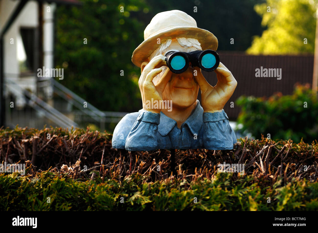 Figur mit Fernglas über eine Hecke, Thuisbrunn, Upper Franconia, Bayern, Deutschland, Europa Stockfoto
