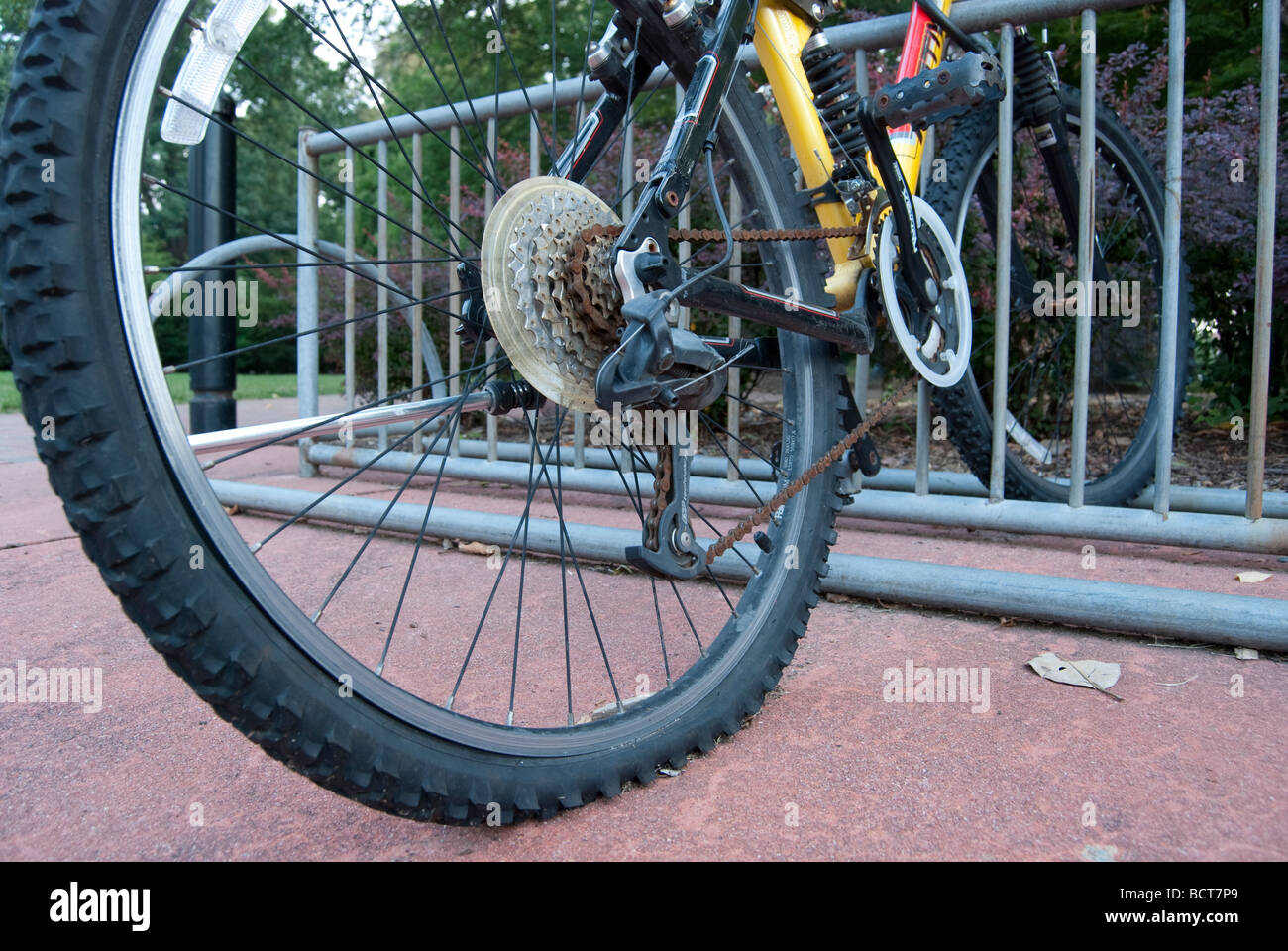 Fahrrad mit einem Platten Reifen auf Fahrradträger aufgegeben  Stockfotografie - Alamy