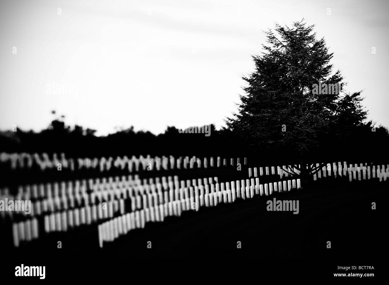 Britischen Soldatenfriedhof torino di Sangro, Italien Stockfoto