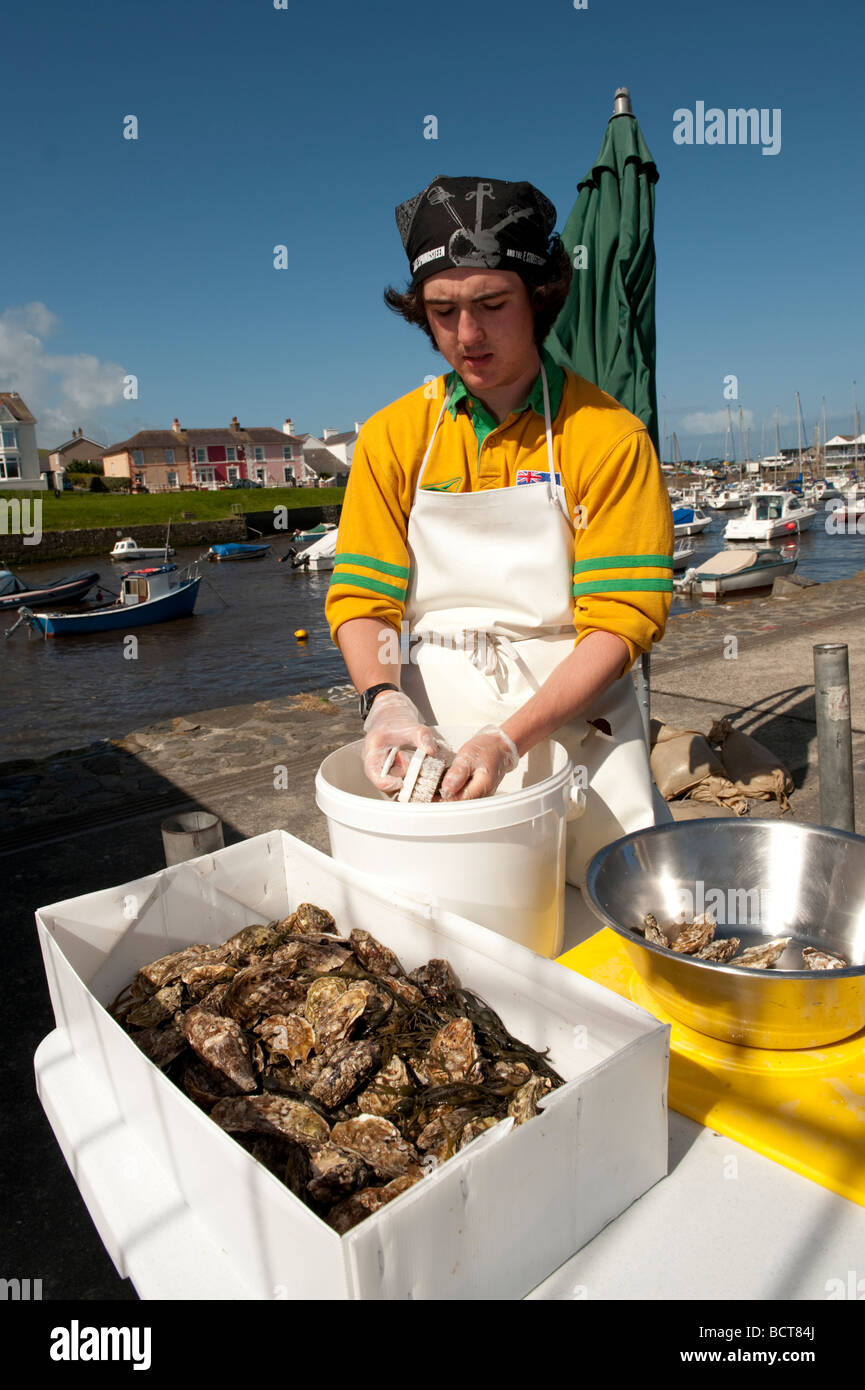 Ein junger Mann Reinigung Austern zum Verkauf beim Cardigan Bay Seafood Festival 2009 Aberaeron Ceredigion Wales UK Stockfoto