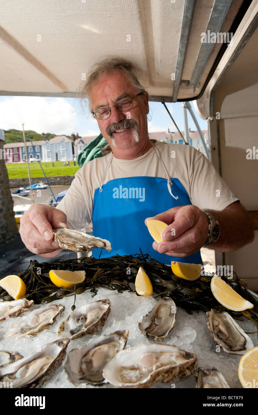 Ein Fischhändler verkaufen frische Austern beim Cardigan Bay Seafood Festival 2009 Aberaeron Ceredigion Wales UK Stockfoto