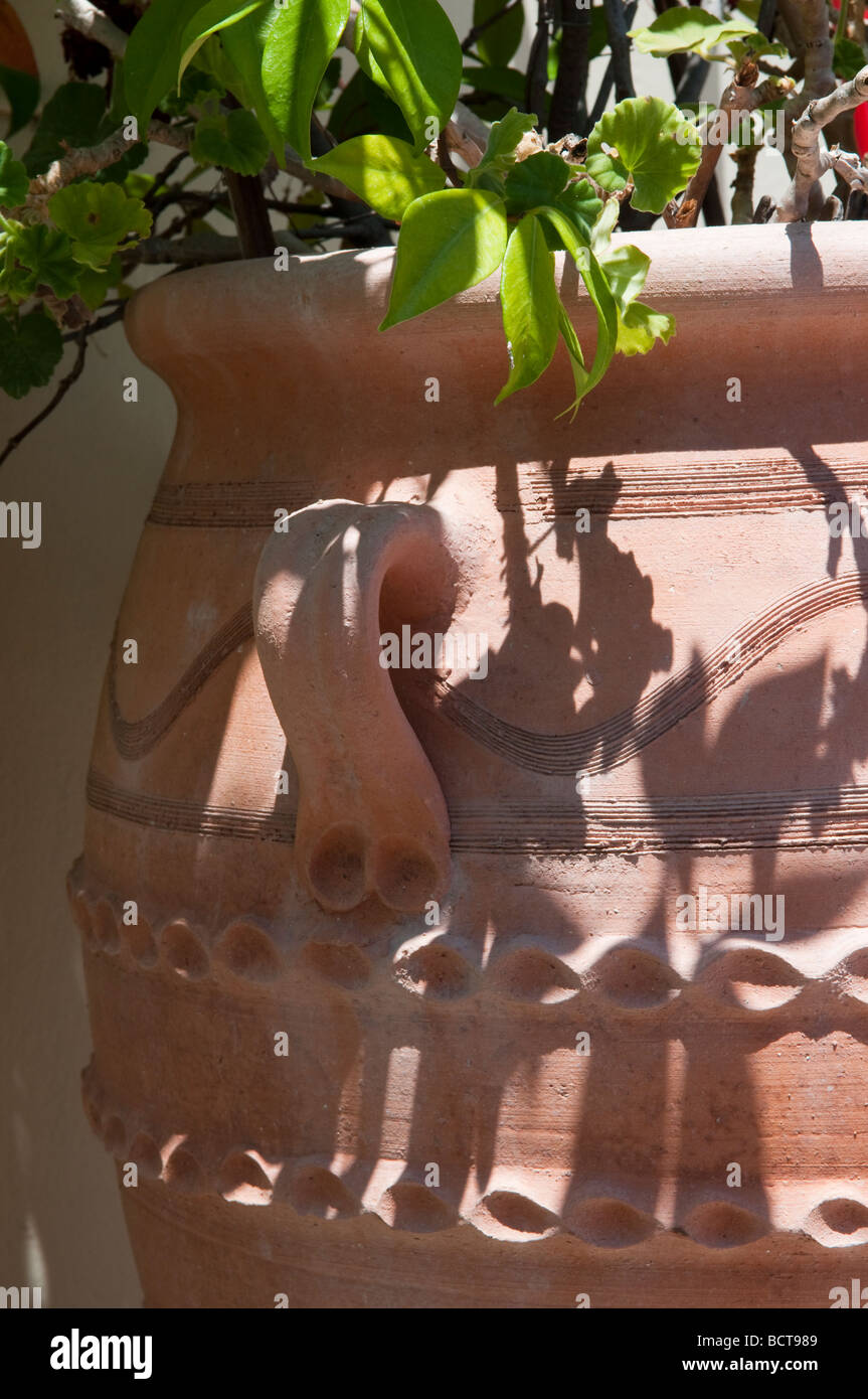 Terrakotta-Pflanztopf in Schatten Stockfoto