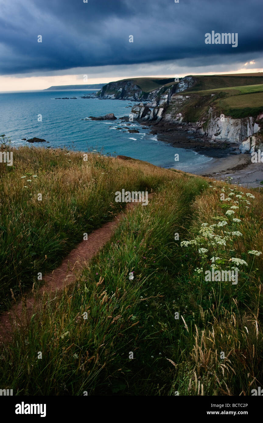 Blick von Nordosten von der Küstenweg über Ayrmer Cove South Devon England UK Stockfoto