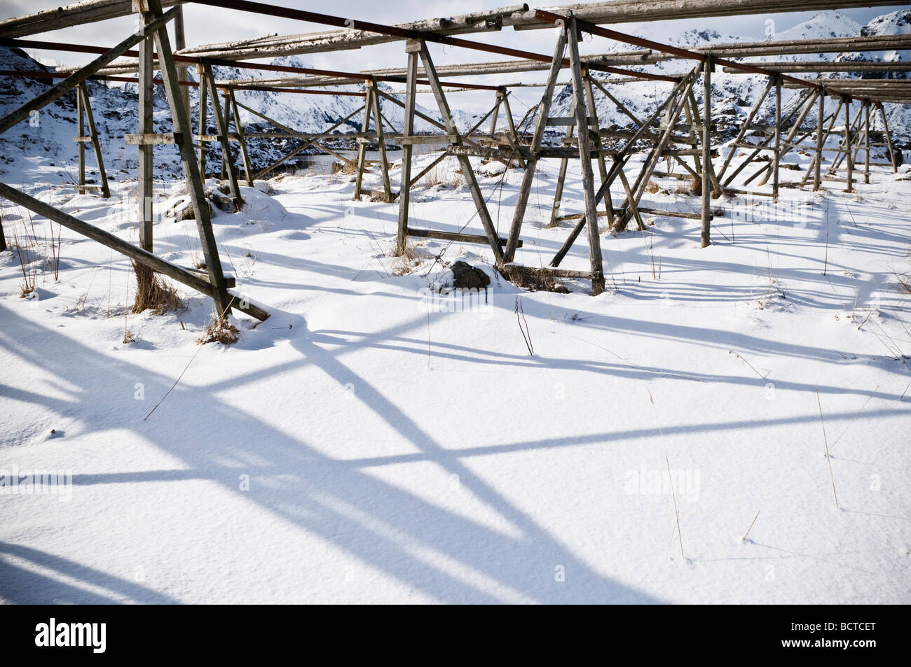 Leeren Kabeljau Stockfisch Trocknung Racks im Winter, Steine, Leknes, Lofoten Inseln, Norwegen Stockfoto