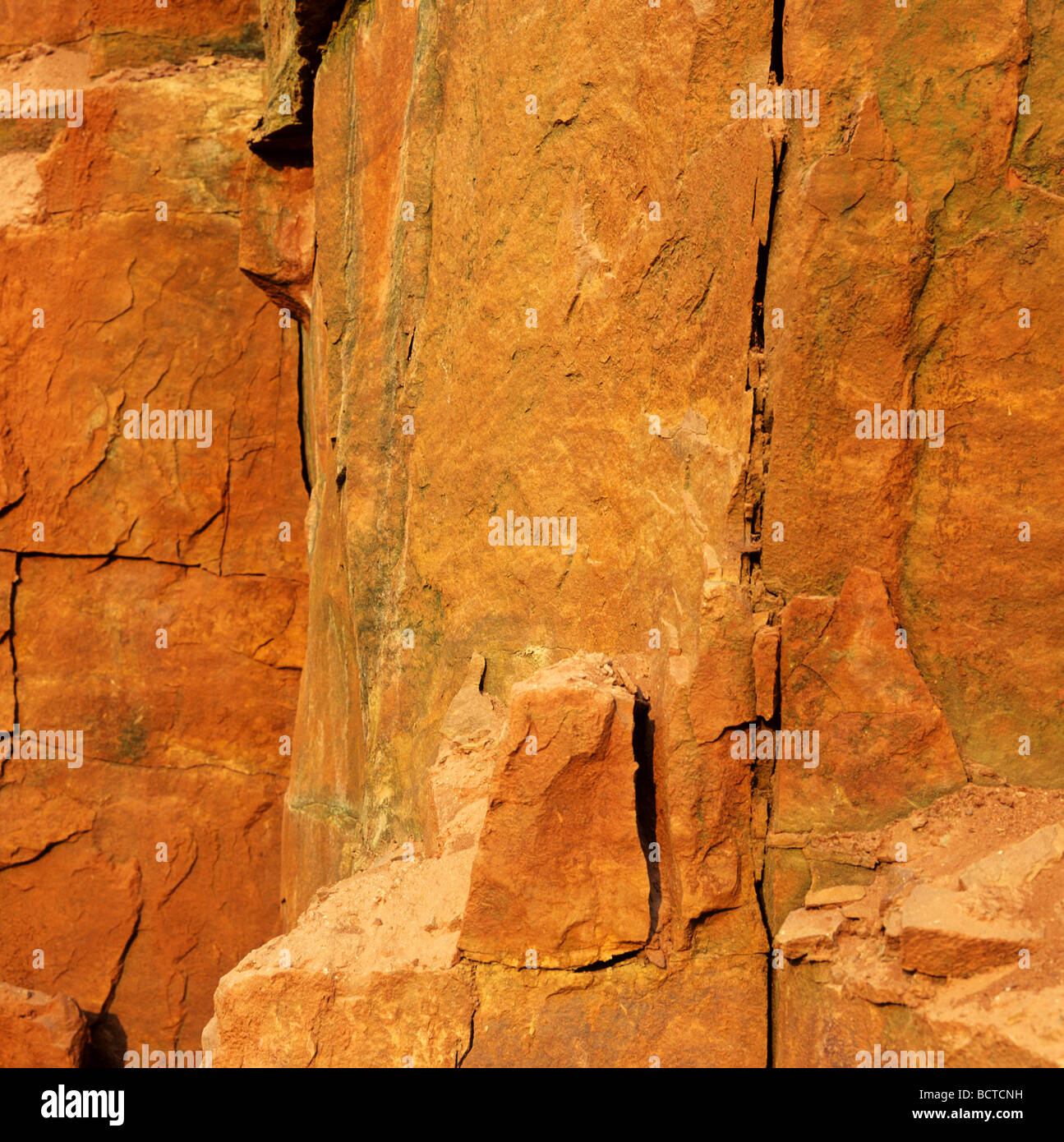 Sandstein-Felsen, Detail, Capitol Reef National Park, Utah, USA Stockfoto