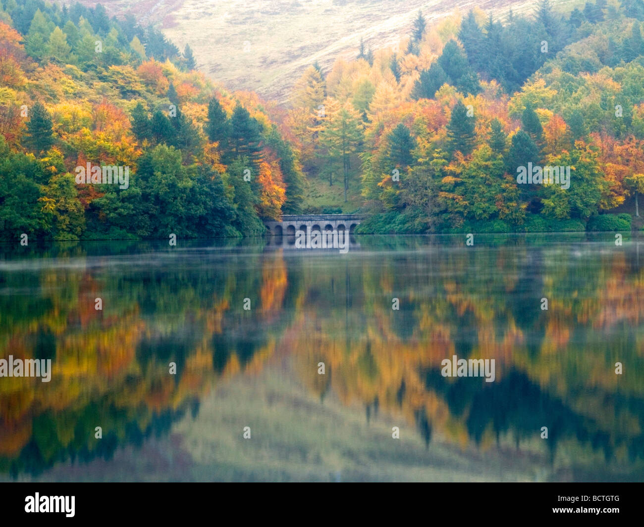 Herbstliche Bäume neben Ladybower Vorratsbehälter spiegelt sich im Wasser, Derbyshire England UK Stockfoto
