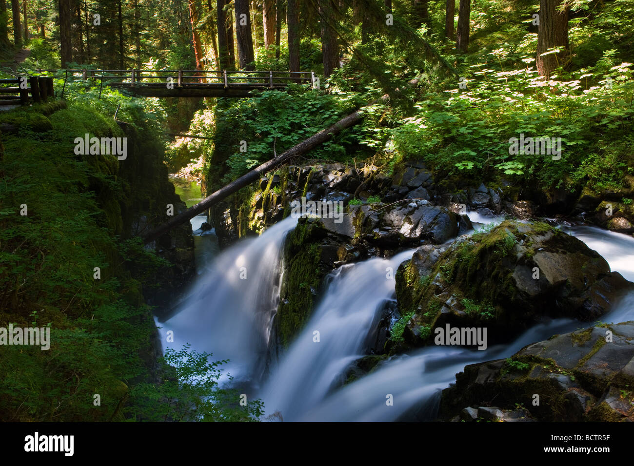 Sol Duc fällt in den Olympic National Park Washington State USA Stockfoto