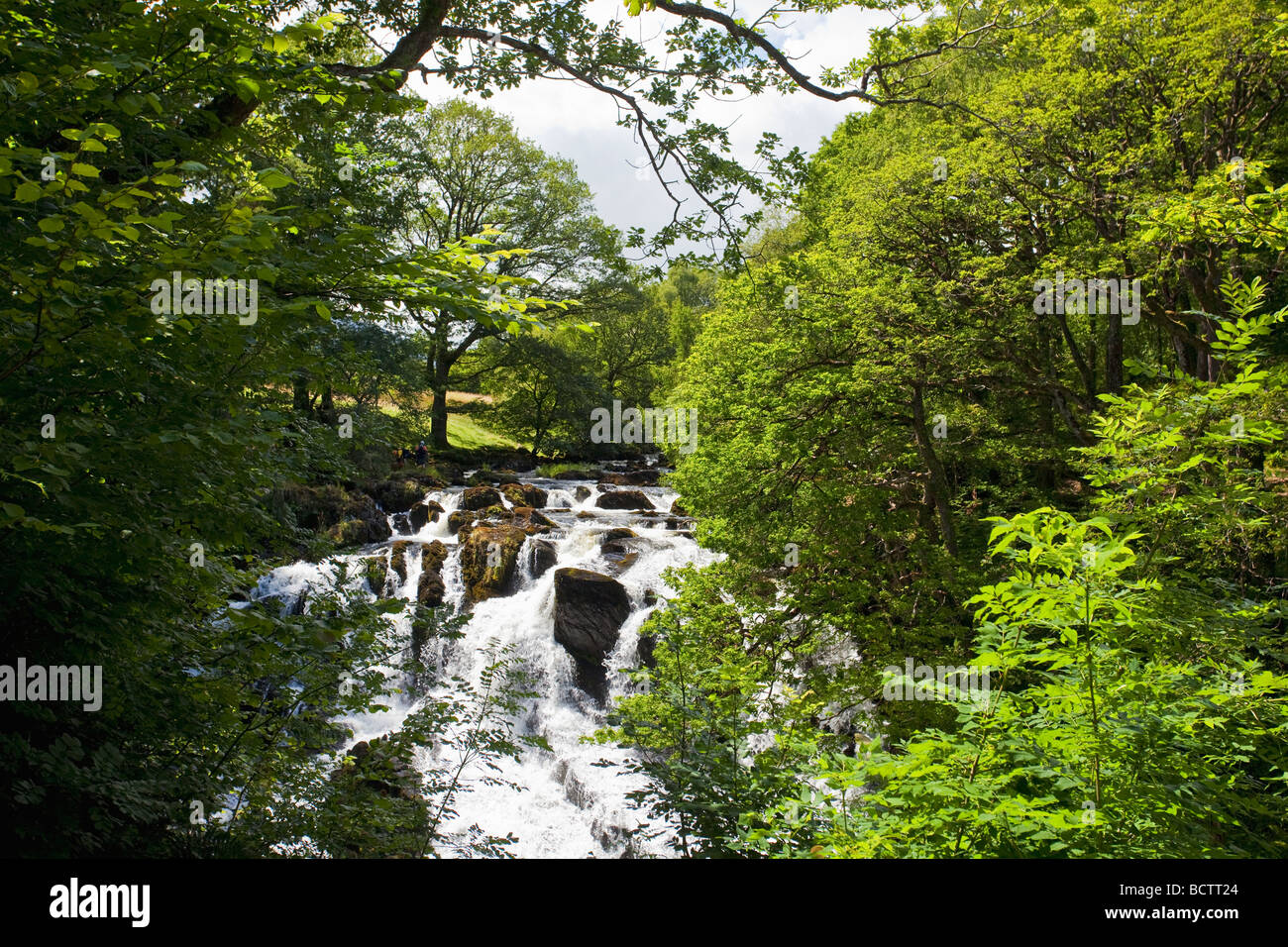 Schlucken Sie Falls Wasserfall Wasserfälle Fluss Llugwy im Juli Sommersonnenschein Betws-y-Coed North Wales Cymru UK Großbritannien GB Stockfoto