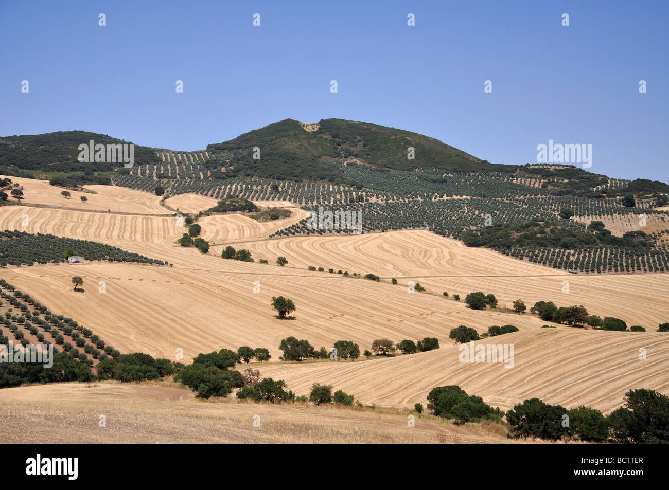 Sierra de Las Cabras in der Nähe von Antequera, Provinz Malaga, Andalusien, Spanien Stockfoto