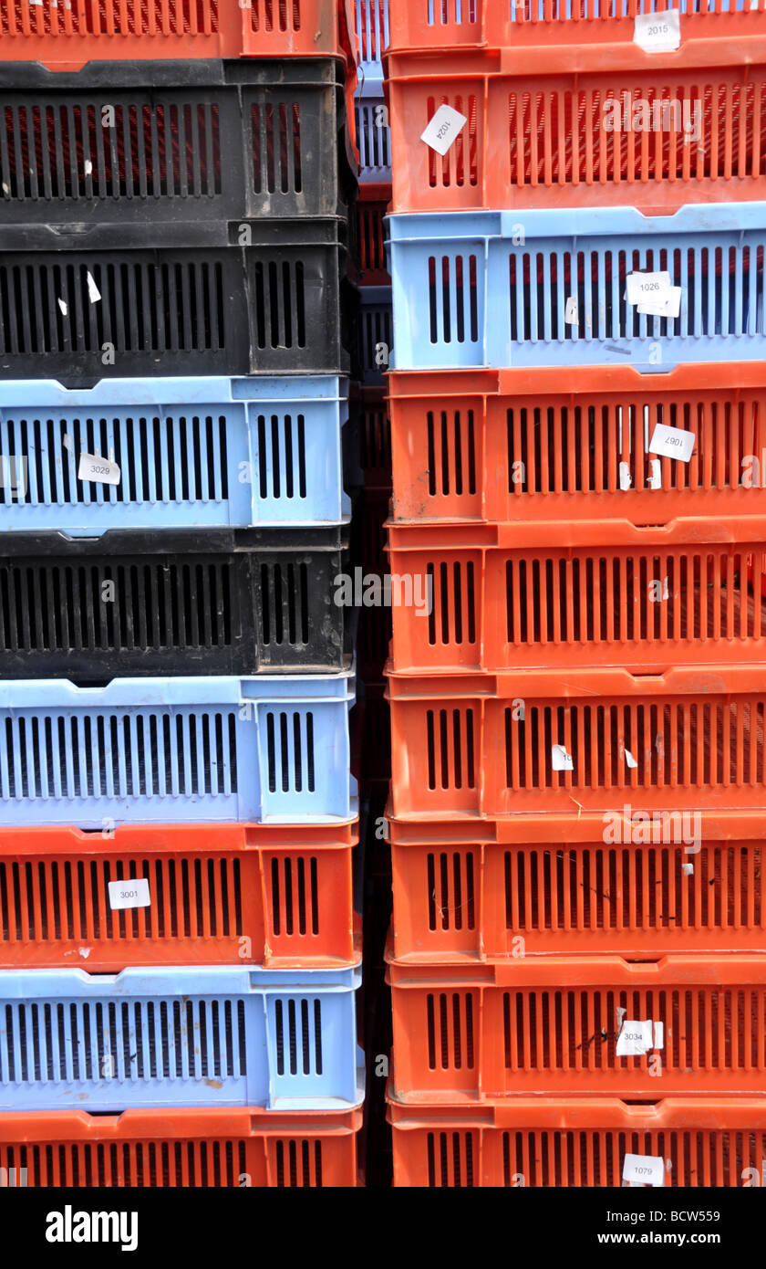 Abstrakte Nahaufnahme von industriellen roten und blauen Kunststoff Obst / Erdbeere Kisten gestapelt in Reihen in einem Feld. Stockfoto
