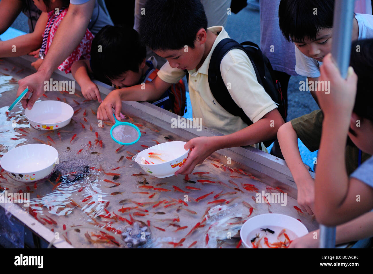 Japanische Kinder fangen Goldfischen auf dem Markt in Tokio Japan Stockfoto