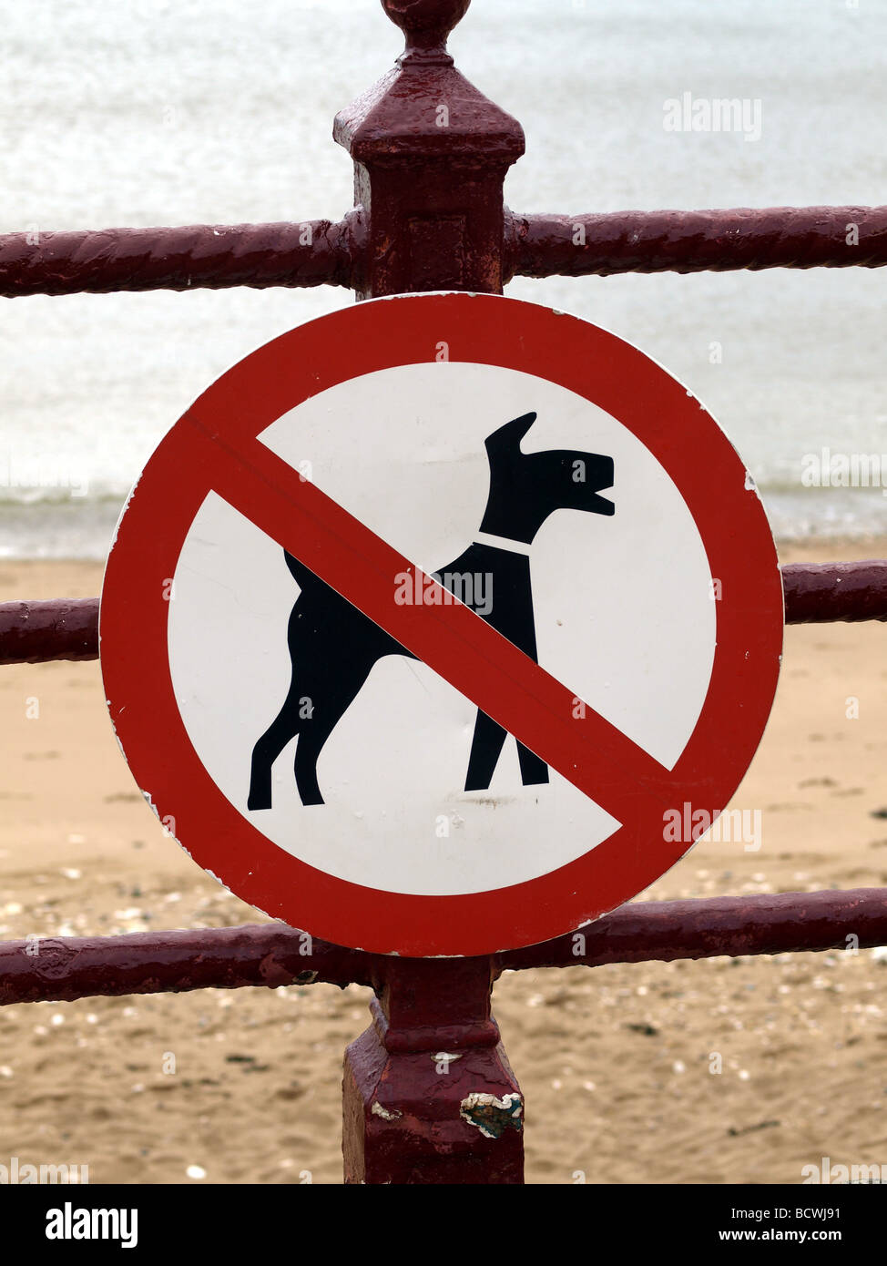 Hundeverbot am Strand, Bridlington, North Yorkshire. Stockfoto