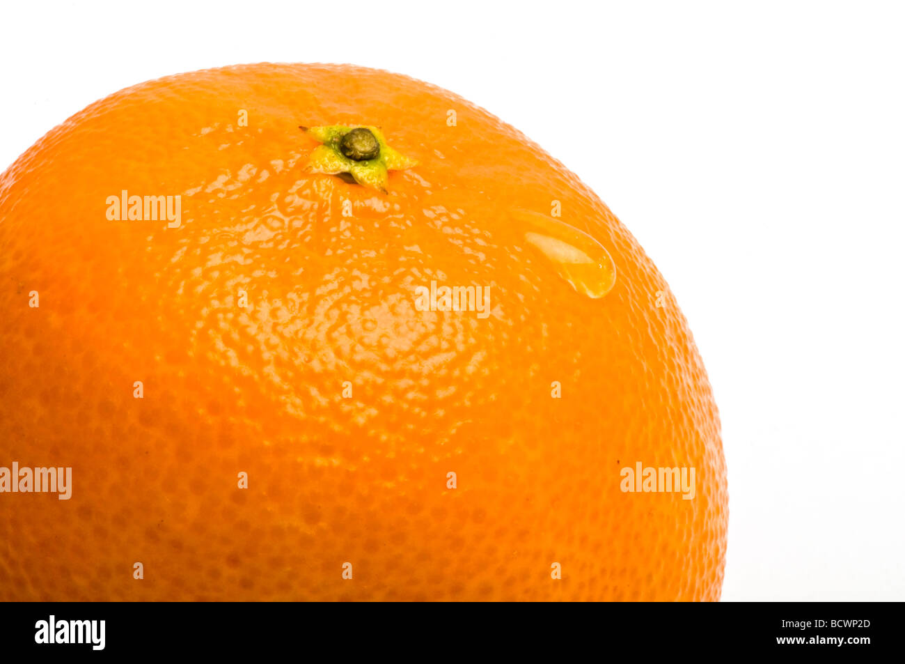Ein Wassertropfen auf ein frisches Orange. Stockfoto