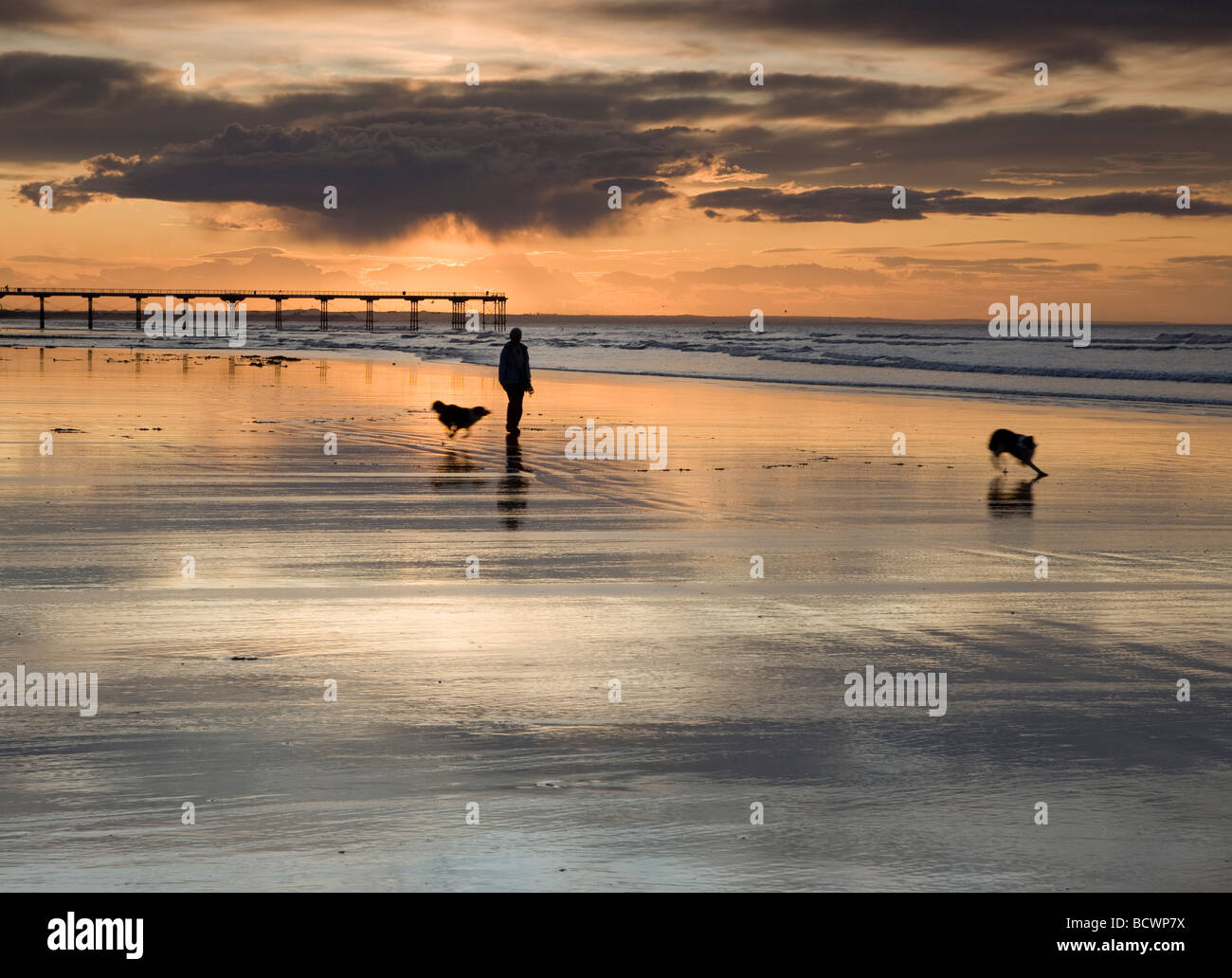 Eine Frau geht zwei Hunde am Strand von Saltburn am Meer Stockfoto