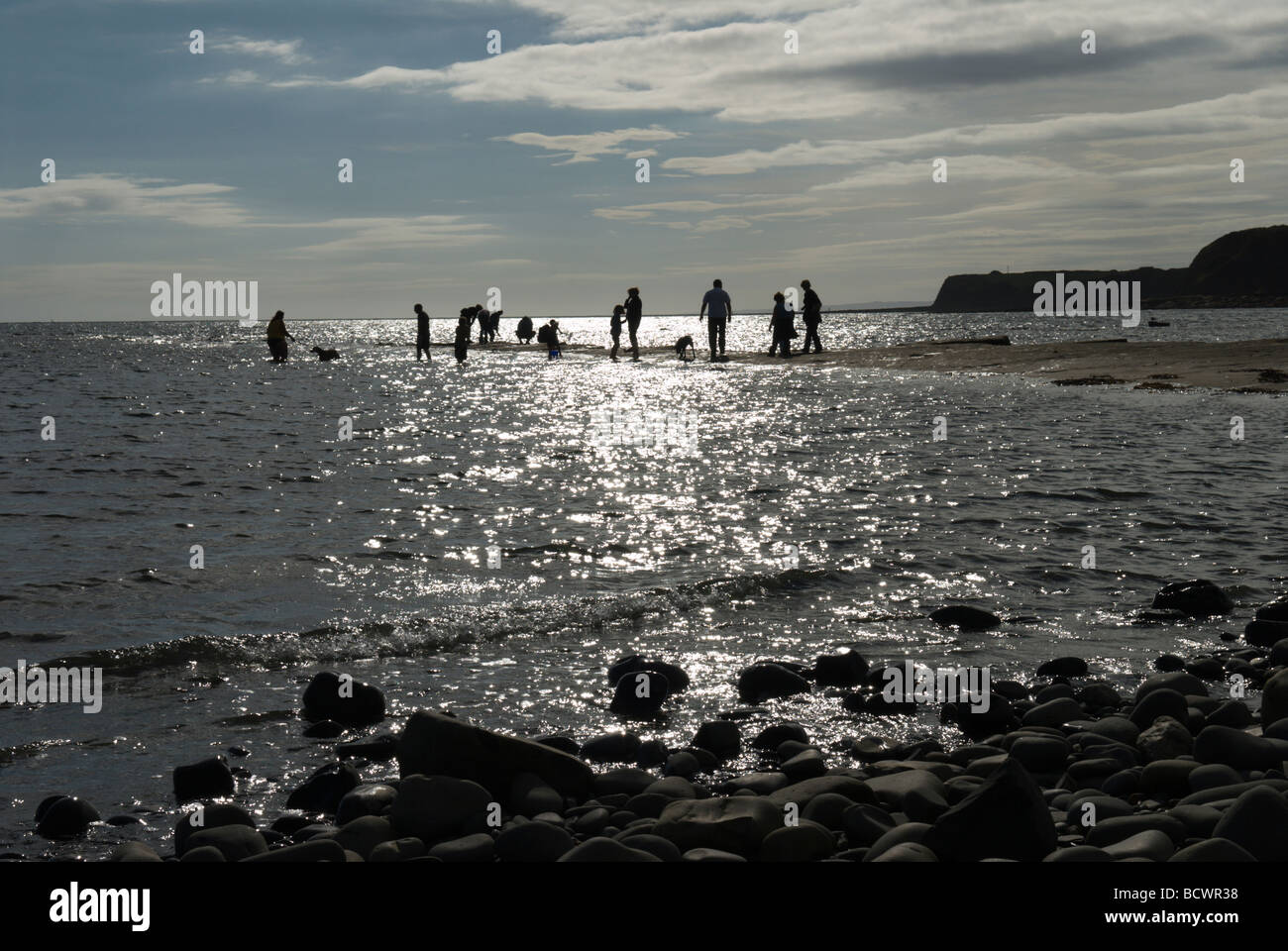 UK. September. Ebbe, aufschlussreiche Gesteinsschichten Finger heraus zum Meer auf, die Leute sind zu Fuß klemmt Stockfoto