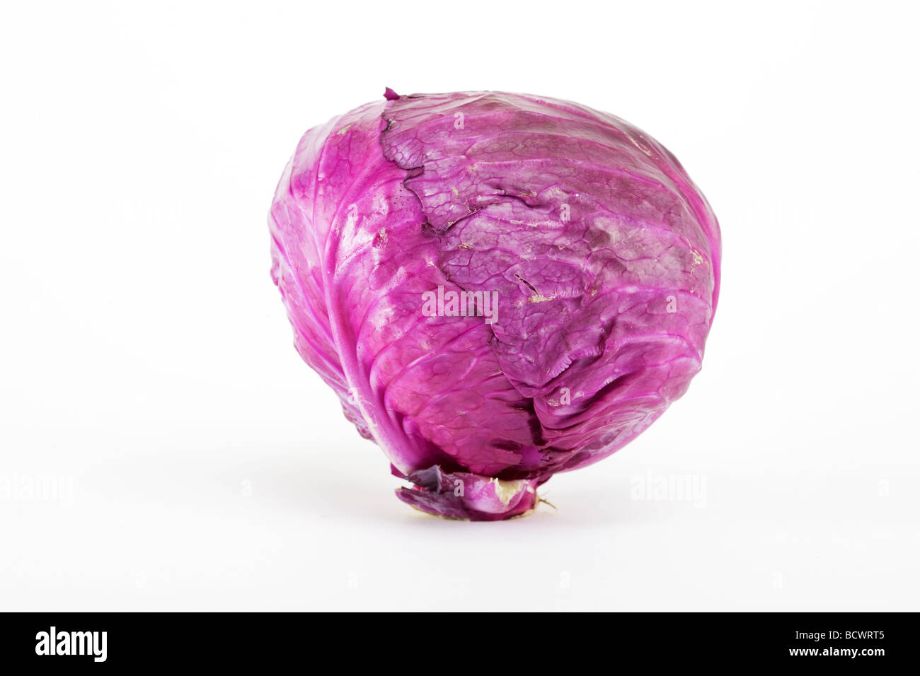 Rotkohl Stockfoto