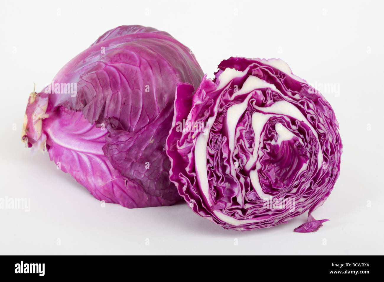 Rotkohl Stockfoto