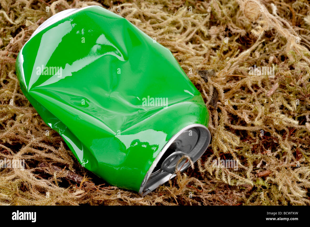 horizontale schließen kann bis eine zerdrückte grüne Aluminium-Drink auf Moos Stockfoto