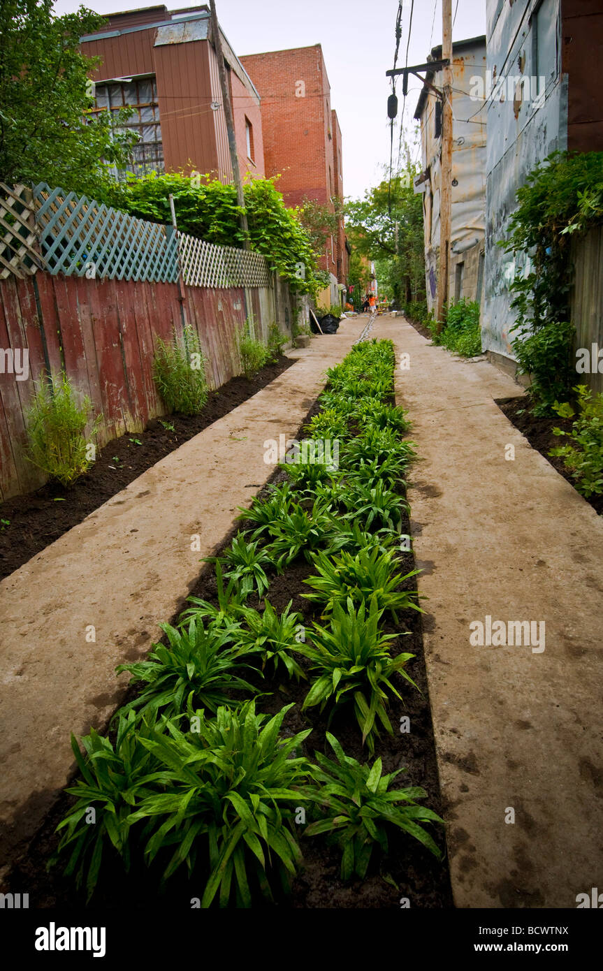 Grüne Gasse in Montreal Teil eines gemeinschaftlichen Projekts durch die Bürger ihre Stadt umweltfreundlicher zu machen Stockfoto