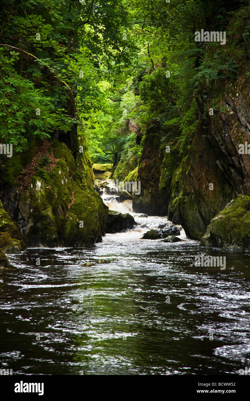 Fairy Glen-Schlucht Conwy River im Juli Sonnenschein im Sommer in der Nähe von Betws-y-Coed Snowdonia-Nationalpark North Wales Cymru UK GB Stockfoto