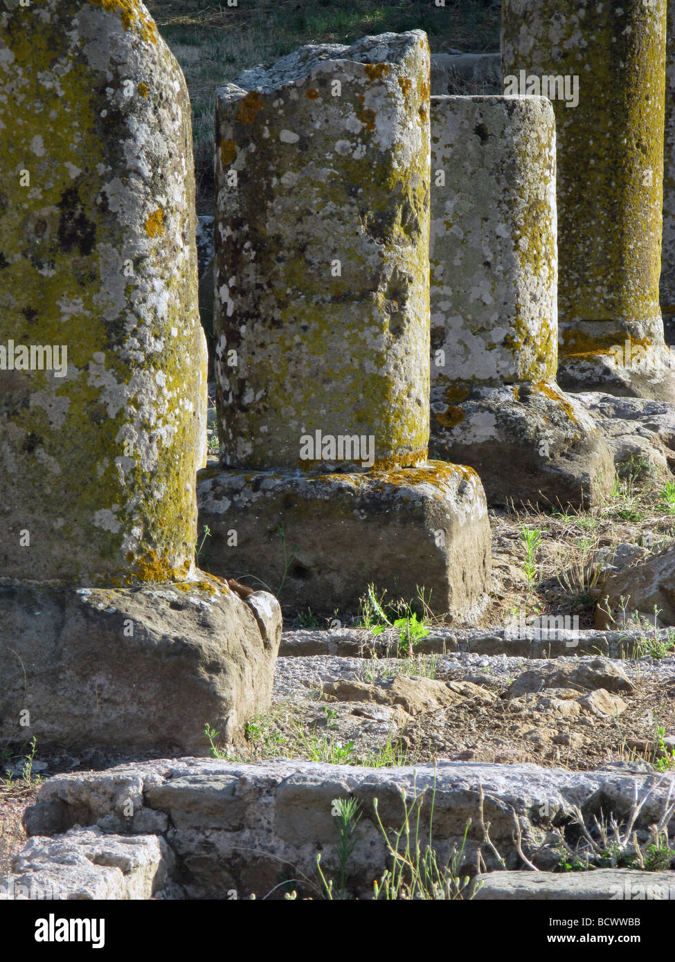 Tempio di Ercole Ruinen auf der alten Via Appia, Rom, Italien Stockfoto