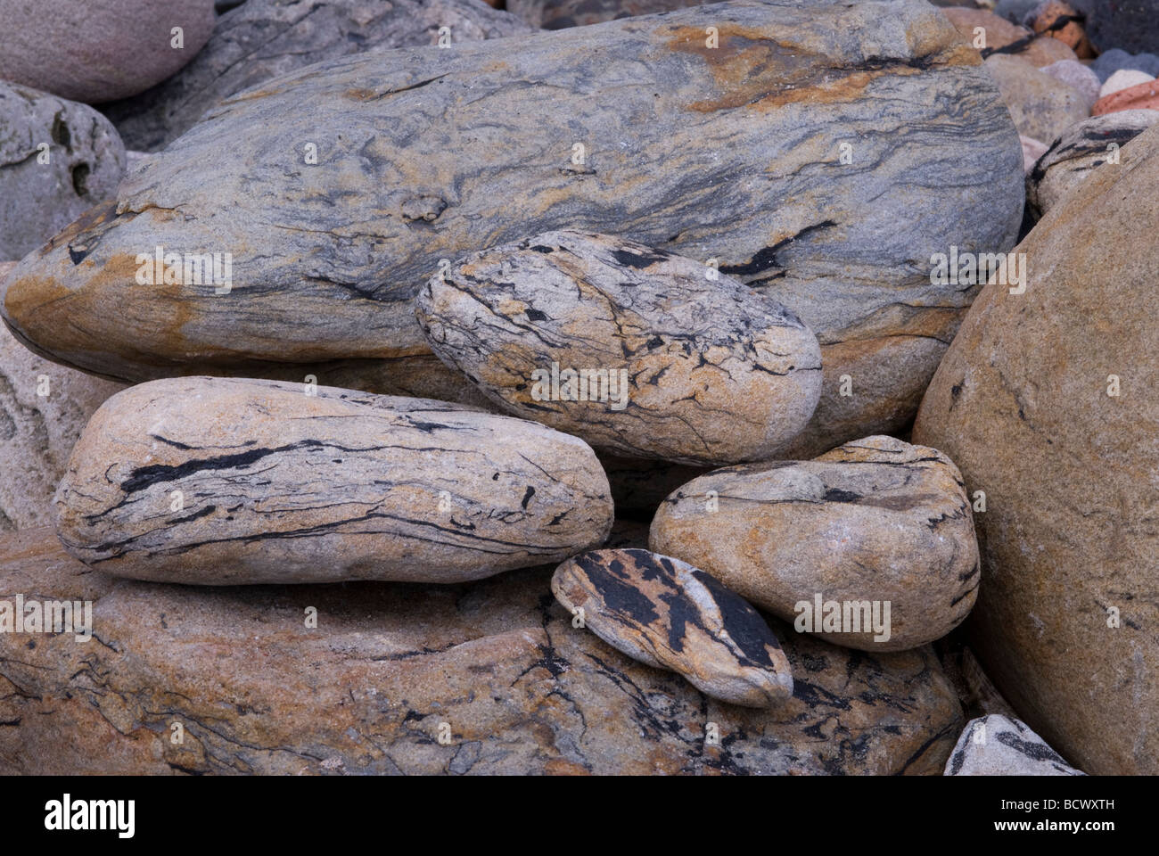 Künstlerisch gemusterte Felsen am Meer Seahouses Northumberland UK Stockfoto