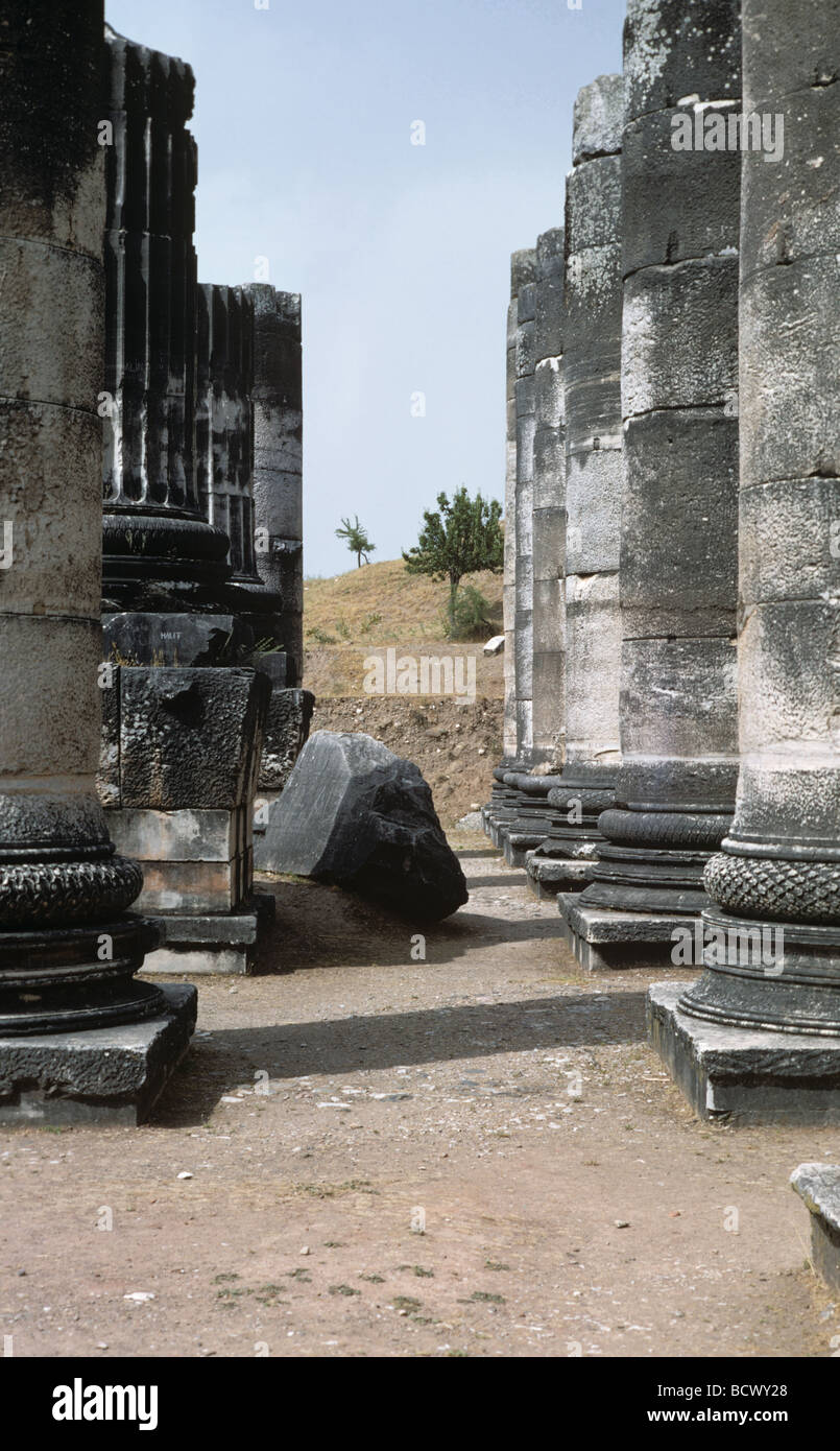 Tempel der Artemis Sardes Türkei 690607 037 Stockfoto