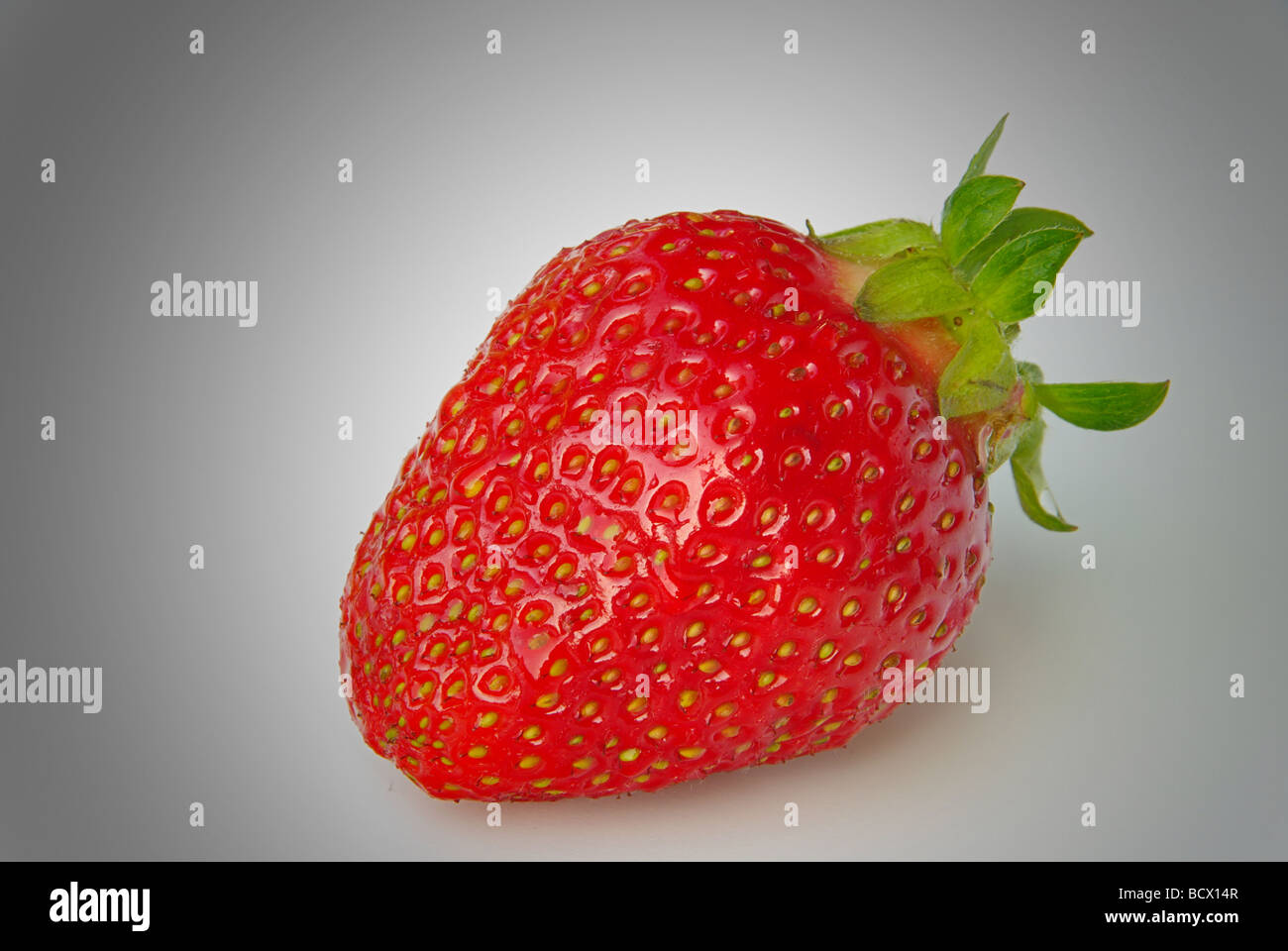 Erdbeere Erdbeere 03 Stockfoto
