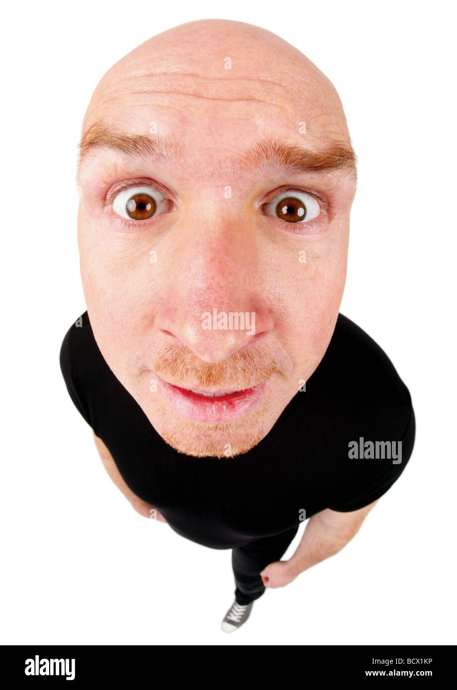 Blick in die Kamera Spitze Glatzkopf Stockfoto