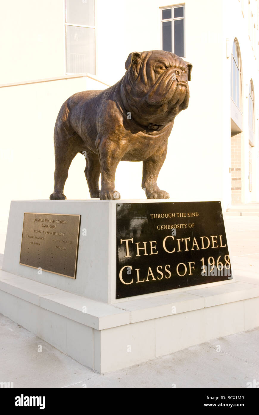 Bulldog Maskottchen-Statue im Johnson Hagood Stadium, Heimstadion der Zitadelle, in Charleston, South Carolina, USA. Stockfoto