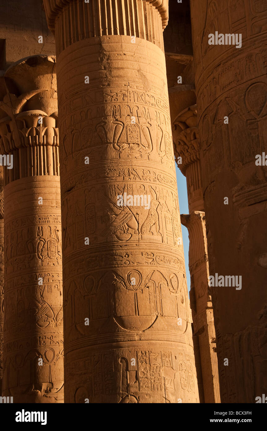 Ägypten Kom Ombo Tempel Pylonen Spalten Reliefs Hieroglyphen Säulenhalle Stockfoto