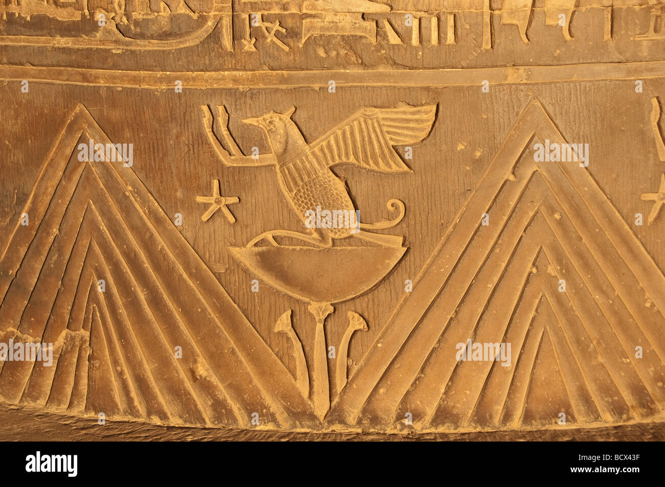 Ägypten Kom Ombo Tempel Wand Carving Reliefs Lotus Sterne Tier Hieroglphs Hieroglyphen Stockfoto