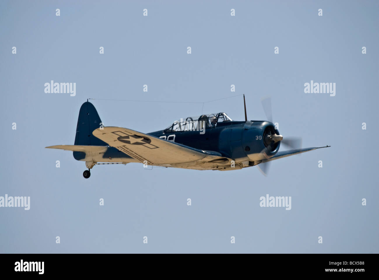 Ein 5-Douglas SBD Dauntless fliegt auf einer Flugshow. Stockfoto