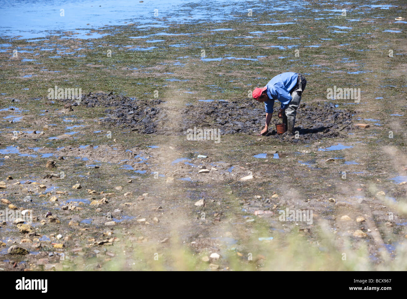 Naturpark Ria Formosa in Faro, Portugal Stockfoto