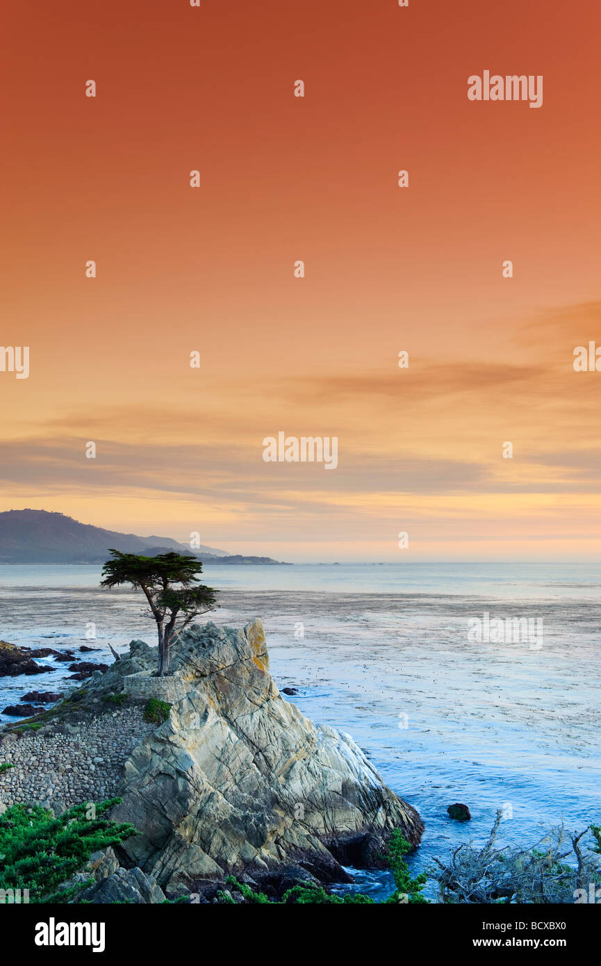 USA Kalifornien Monterey Halbinsel 17-Mile-Drive Lone Cypress Stockfoto