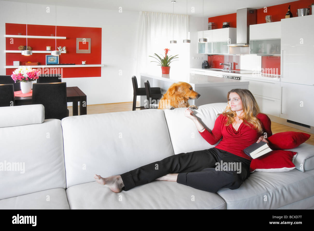junge schöne Frau sitzen auf Soffa in modernen Küche Interieur Stockfoto