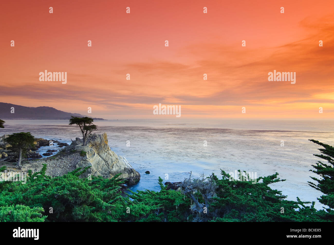 USA Kalifornien Monterey Halbinsel 17-Mile-Drive Lone Cypress Stockfoto