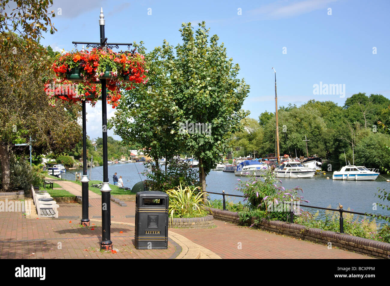 Am Flussufer Ansicht, Themse, Sunbury-on-Thames, Surrey, England, Vereinigtes Königreich Stockfoto