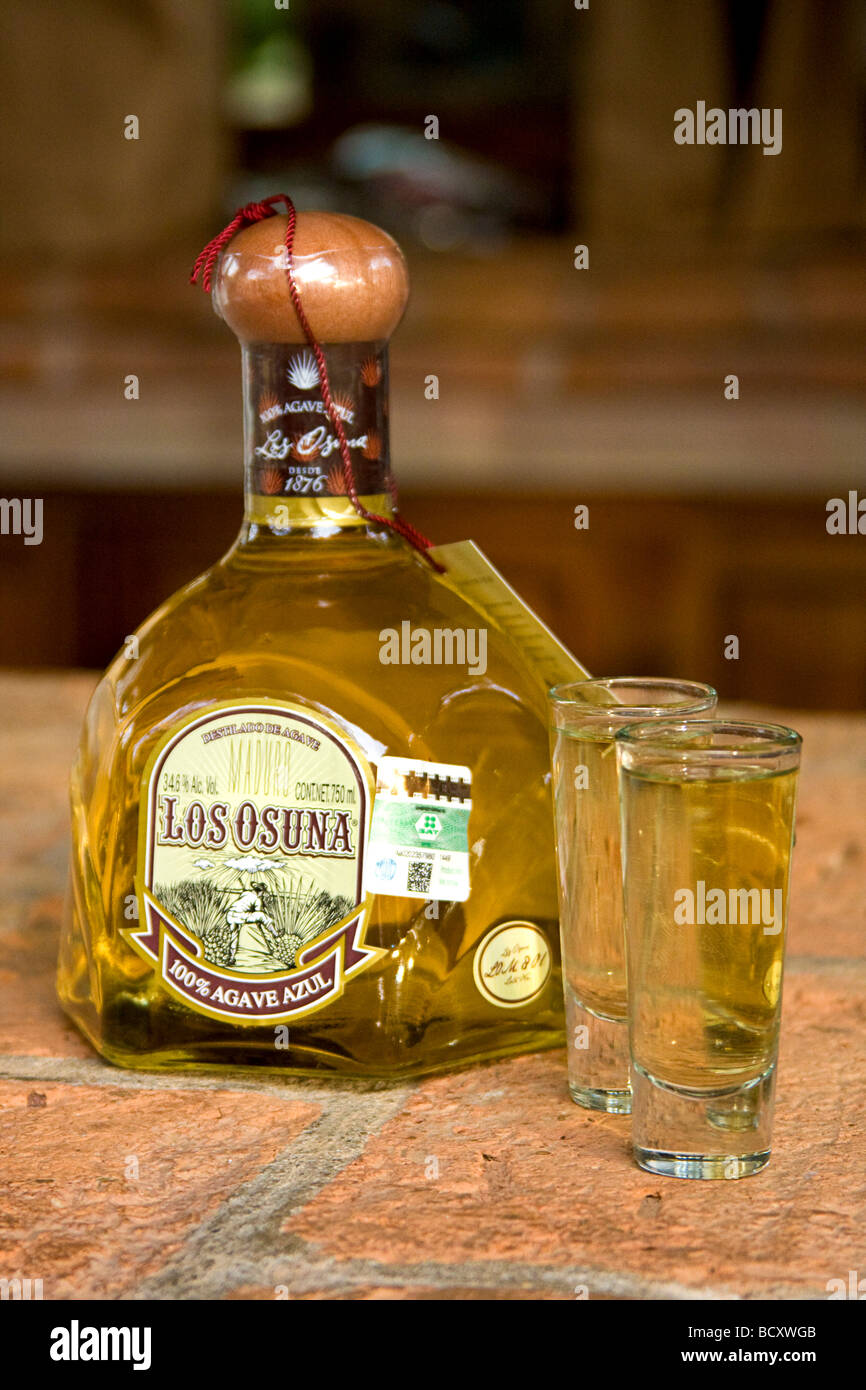 Tequila wie Getränk, das in Los Osuna Agave Brennerei, einer Tequilafabrik in der Nähe von Mazatlan, Mexiko. Stockfoto