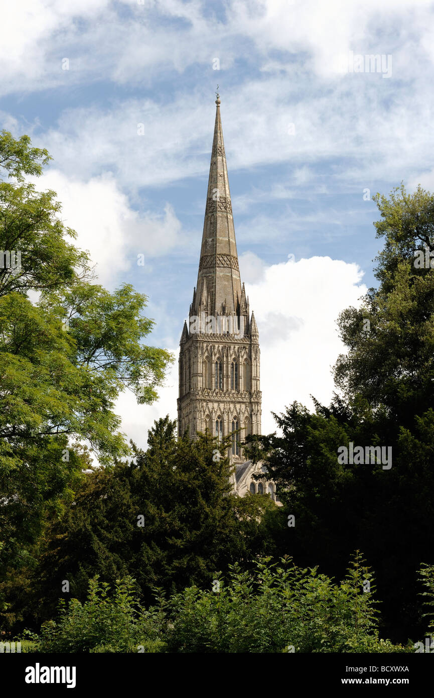 Salisbury Kathedrale Wiltshire Stockfoto